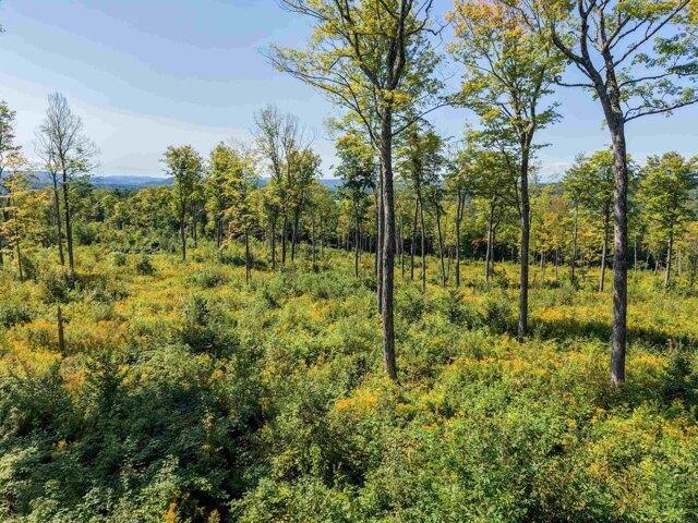 Land for sale in Jericho, Vermont