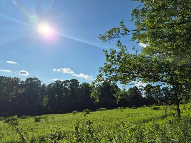 Land for sale in Cortland, New York