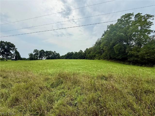 Land for sale in Bergholz, Ohio