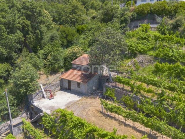 Terreno venda em Cinfães, Viseu