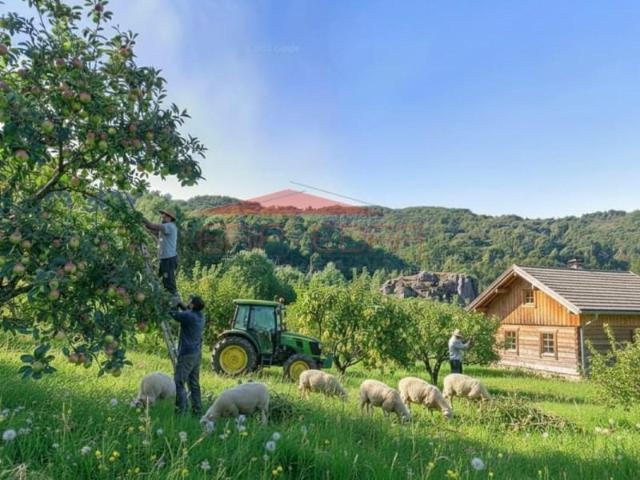 Terreno venda em Fornelos, Viseu