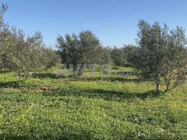 Propriété vente à Anfa, Gharb-Chrarda-Beni Hssen
