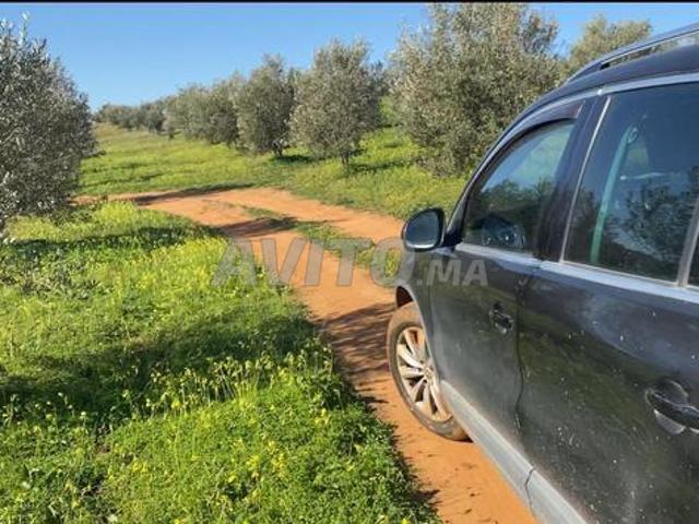 Propriété vente à Sidi Allal El Bahraoui