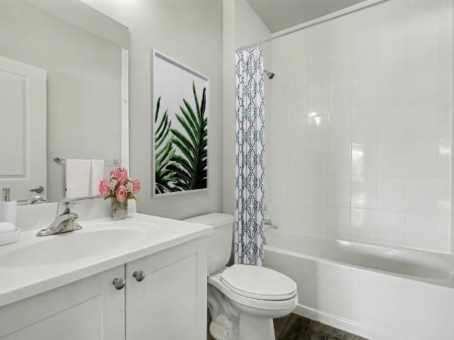 Apartment for rent in Arva, Ontario