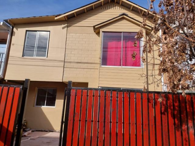 CIPRESES DE SANTA JULIA