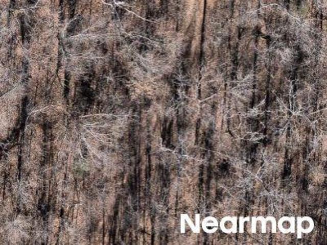 Land for sale in Ark