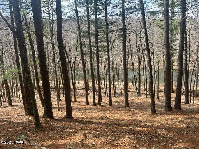 Land for sale in Hawley, Pennsylvania