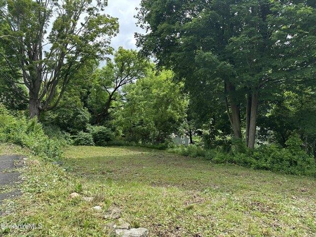Land for sale in Pittsfield Land for sale in Pittsfield