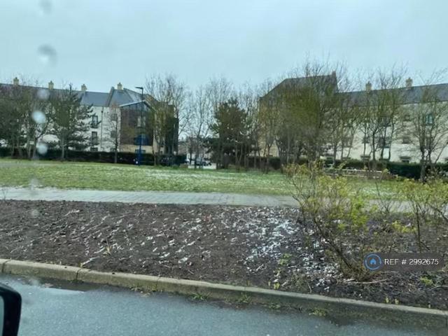 Apartment for rent in Orchard Park, Arrington