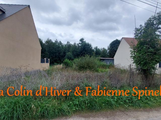 Terrain vente à Ciry-salsogne