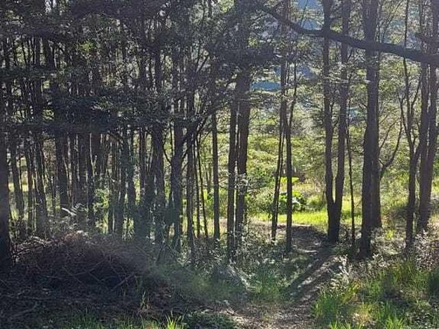 Cisnes, Casa y terreno Puerto Raul Marin Balmaceda 134290