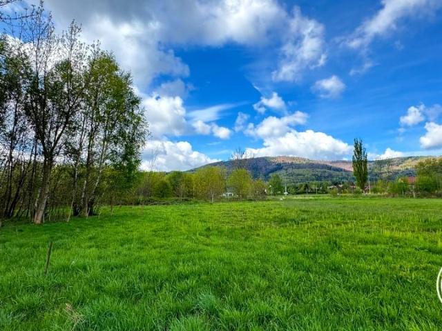 Grunt na sprzedaż w Buczkowice, Śląskie