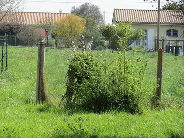Terrain vente à Lesparre-Médoc, Cissac-médoc