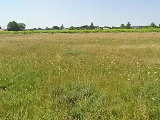 Terrain vente à Lesparre-Médoc, Cissac-médoc