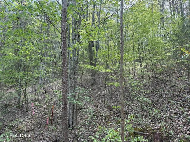 Property for sale in Tennessee