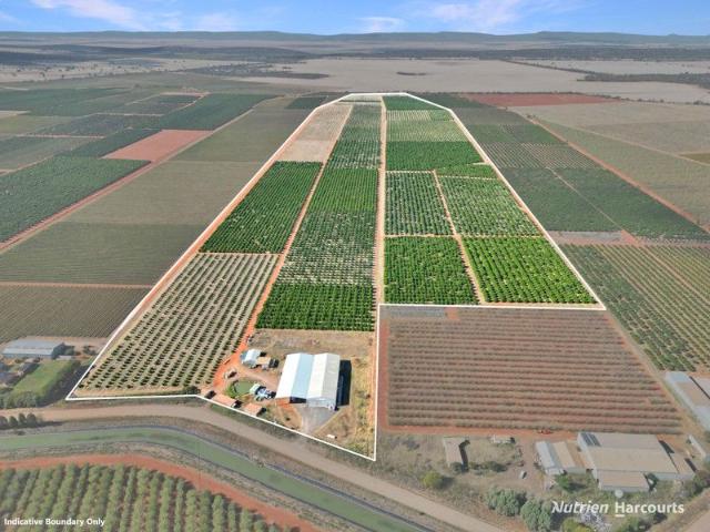 Property for sale in Nericon, New South Wales