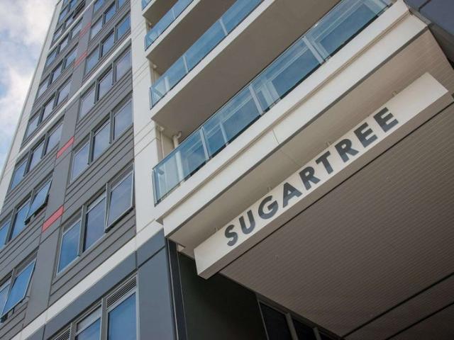 Apartment for rent in Freemans Bay, Auckland