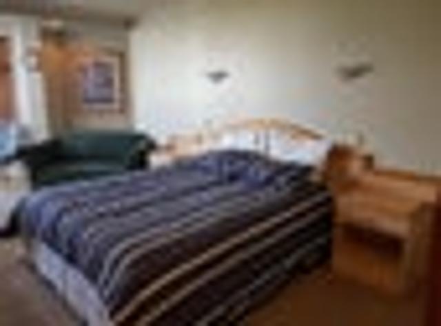 House for rent in Auckland, Oroua County