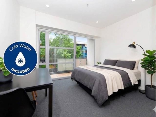 Apartment for rent in Parnell