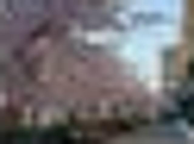 Apartment for rent in Christchurch Central, Linwood-Central-Heathcote Community