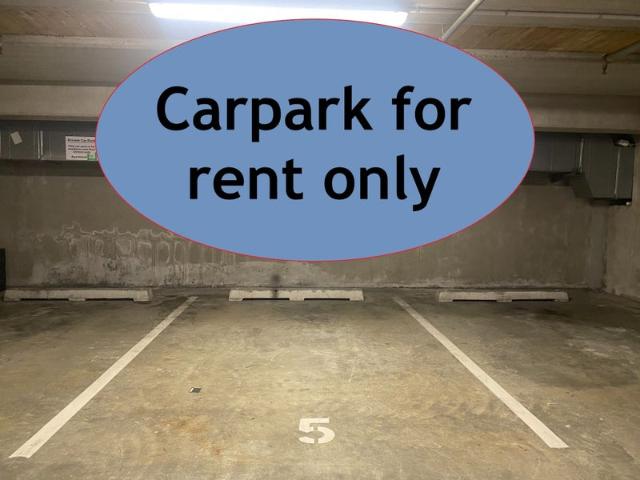 Apartment for rent in Parnell