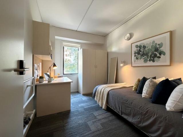 Apartment for rent in Parnell