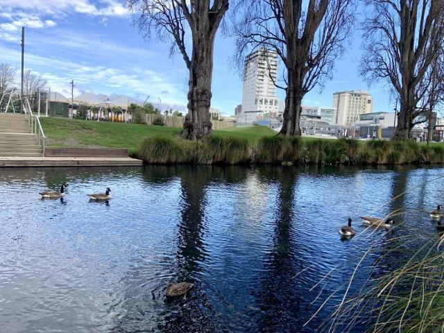 Apartment for rent in Heathcote, Canterbury
