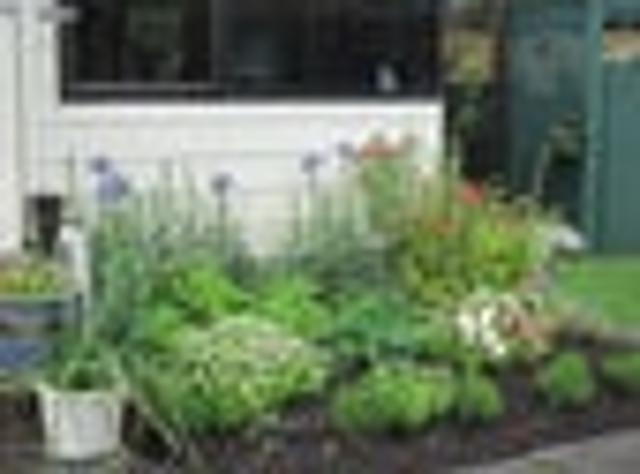 House for rent in Cable Bay, Nelson Bays