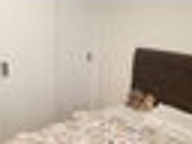 Apartment for rent in Auckland, Oroua County