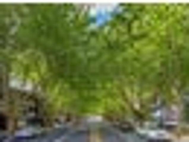 Apartment for rent in Aotea Arts Quarter, Auckland