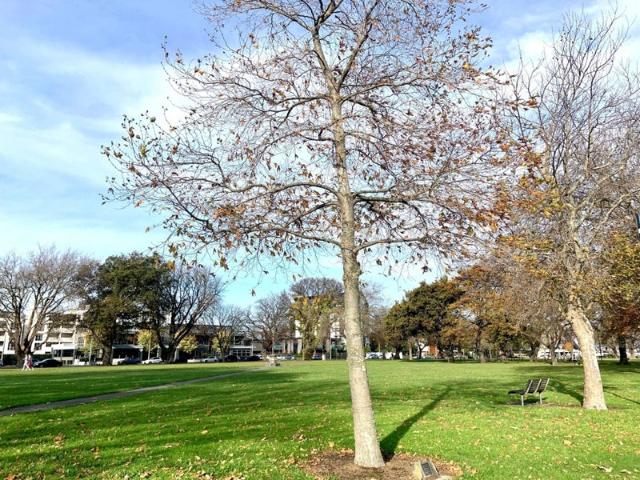 Apartment for rent in Heathcote, Canterbury