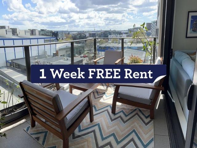 Apartment for rent in Freemans Bay, Auckland