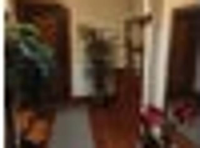 House for rent in Terrace End, Palmerston North