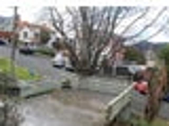 House for rent in Otakou
