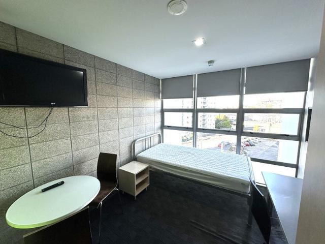 Apartment for rent in Parnell