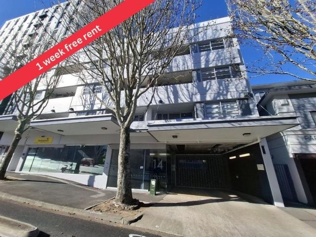 Apartment for rent in Parnell