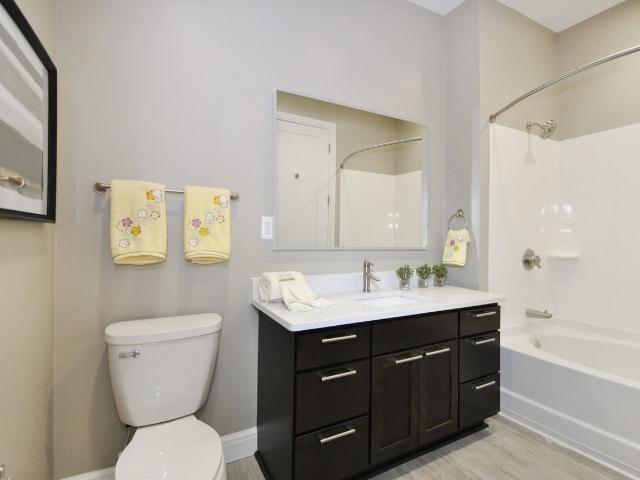 Apartment for rent in Rochester, Michigan