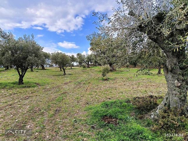 Saruhanli, Manisa içerisinde satılık mülk