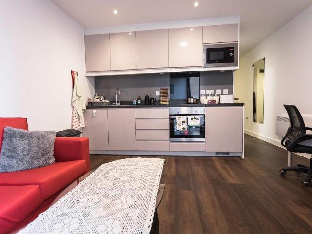 Apartment for rent in Plasnewydd, Falcon Lodge