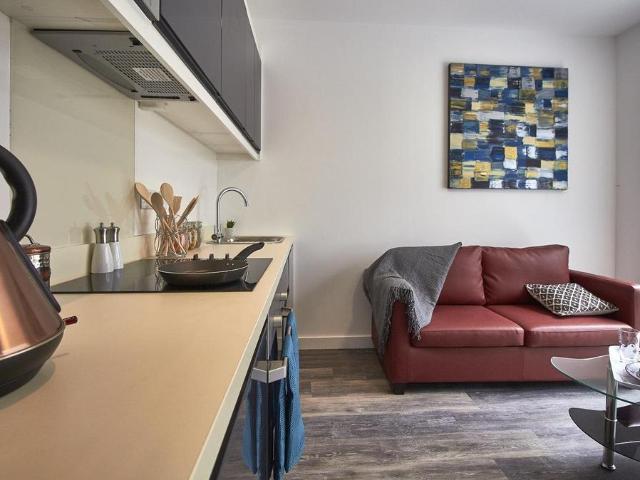 Apartment for rent in Plasnewydd, Falcon Lodge