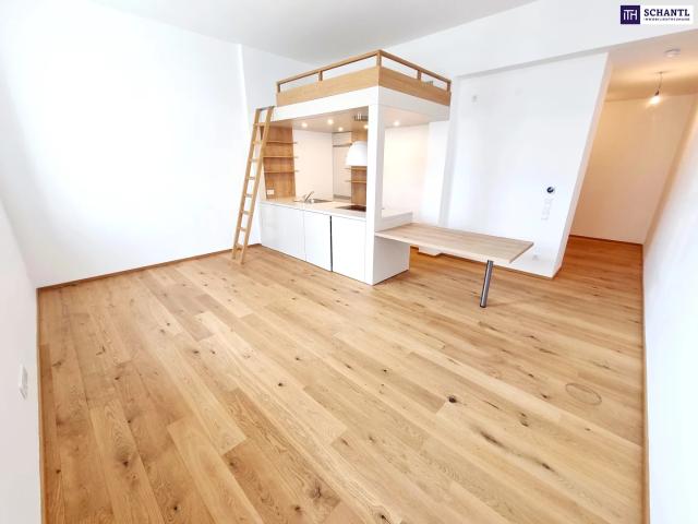 Apartment mieten in KG Margareten, Wien