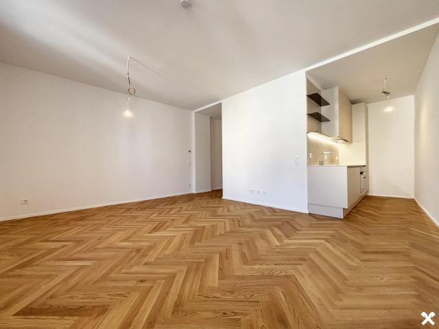 Apartment mieten in Wels, Laahen