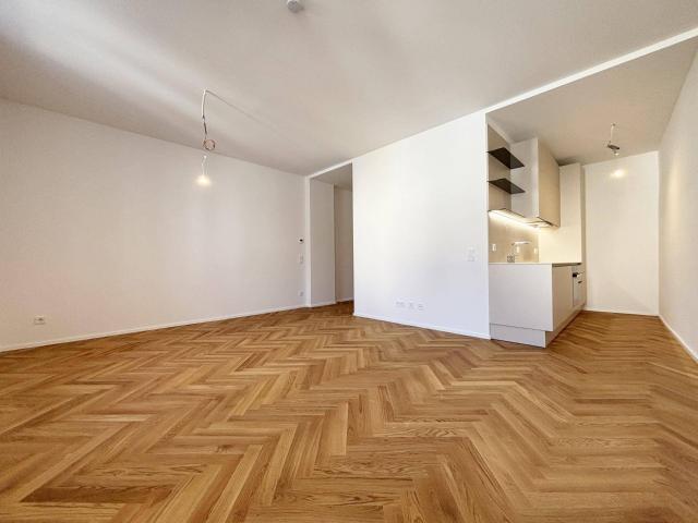 Apartment mieten in Wels, Innere Stadt