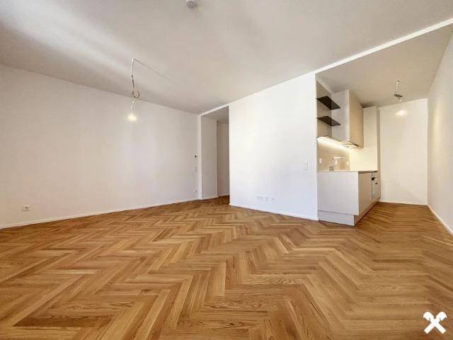Apartment mieten in Wels, Innere Stadt