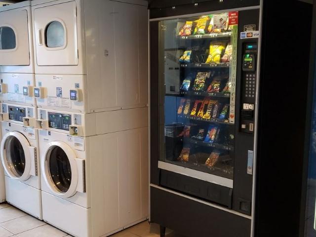 Apartment for rent in Williamsburg, Virginia