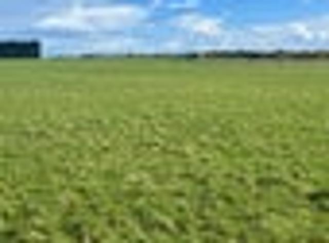 Land for sale in Invercargill, Southland
