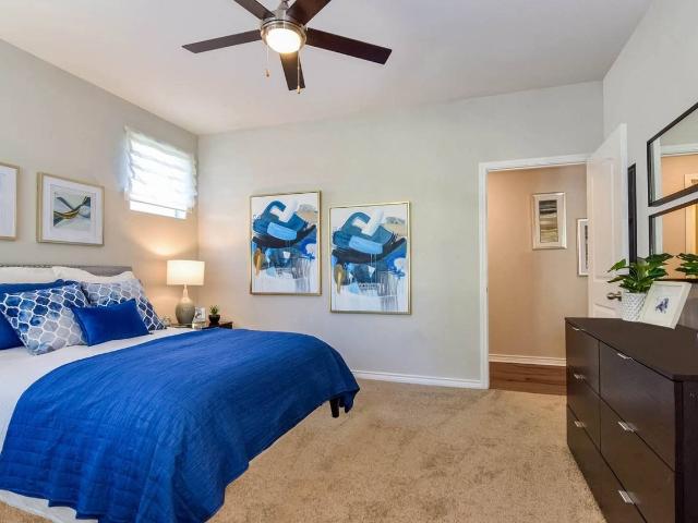 Apartment for rent in Round Rock