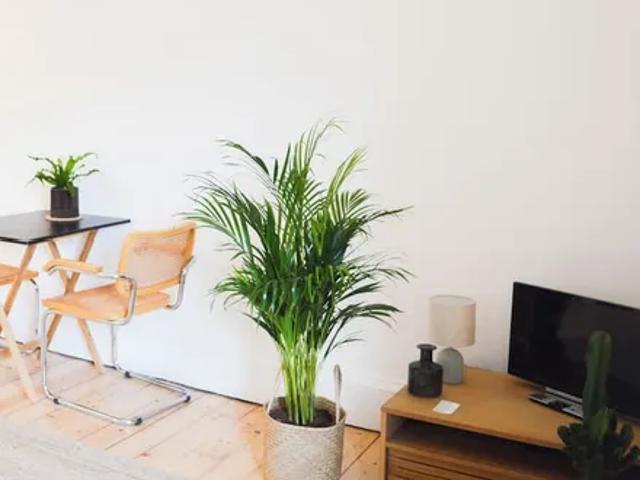 Apartment for rent in Hillside, Leith
