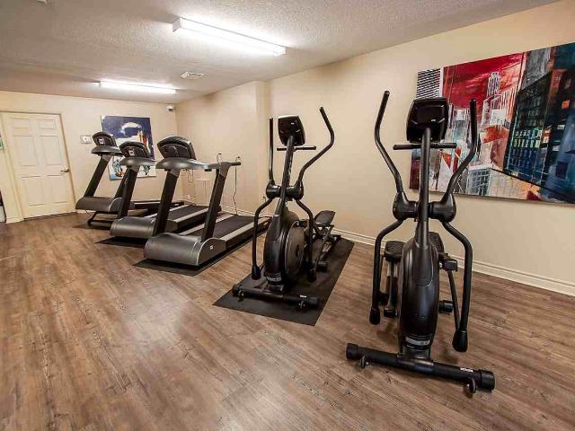 Apartment for rent in Arva, Ontario