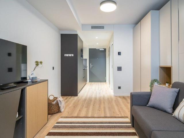 Apartment mieten in Grossbasel, Basel